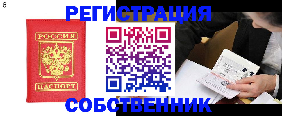 временная регистрация поиск в Димитровграде